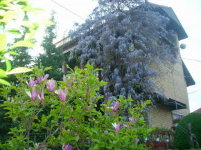 Apartman Wisteria